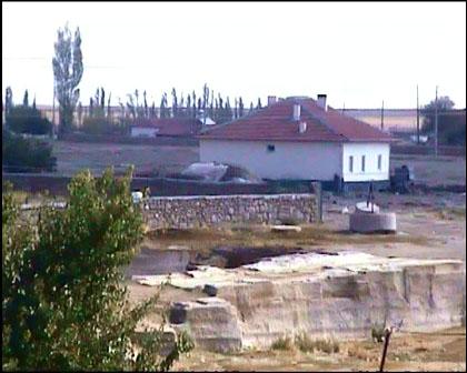 Taner Kurt20.jpg